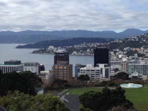 Wellington from on high
