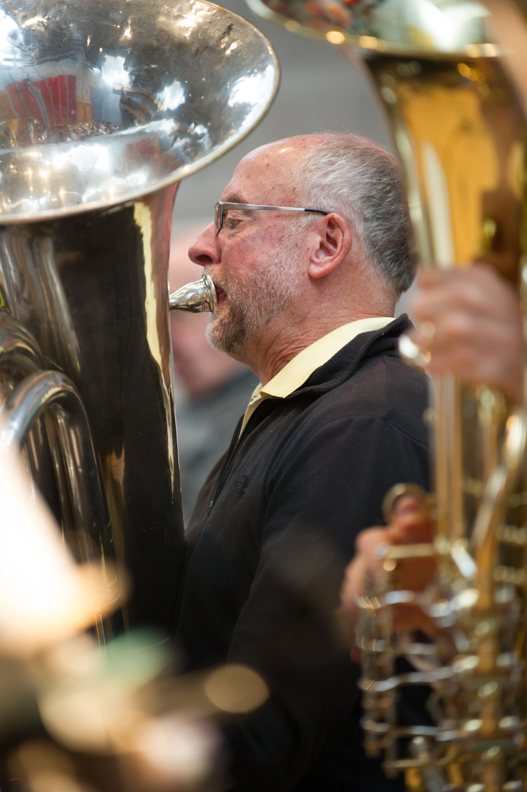 New Horizons Brasso Profundo image