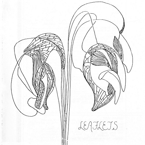 Leaflets (1981) Cover of the 1981 issue of Leaflets, showing an artistic line drawing of two drooping flowers.