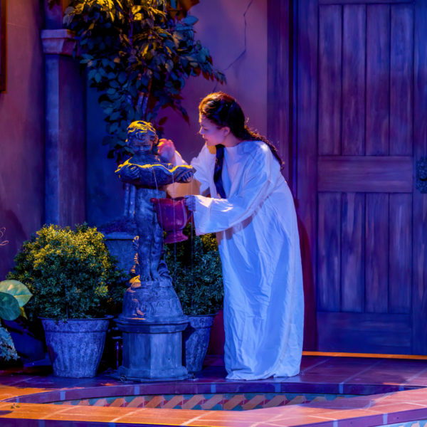 Suor Angelica and The Impresario – Winter 2010