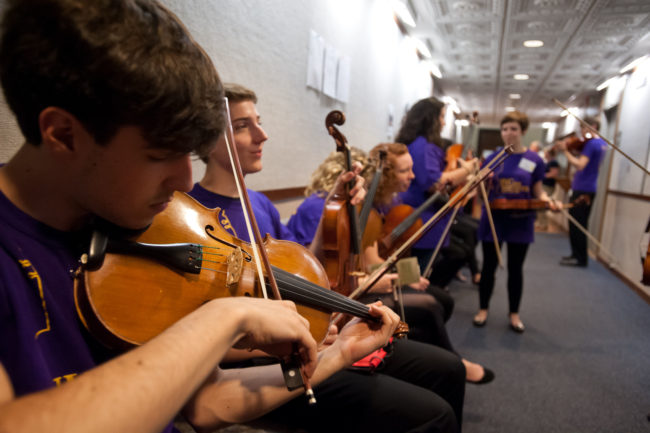 IVC – Viola Congress