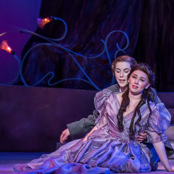 Cendrillon – Spring 2017