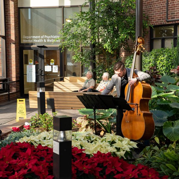 EPAM_Mental-Health_Bass-Performance