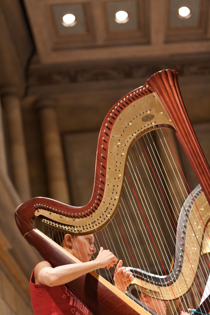 Nan Gullo Bassett’s Passion for Harps, Modern and Historical Eastman