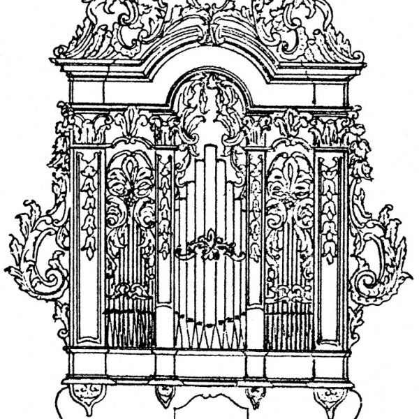 Drawing Italian Organ